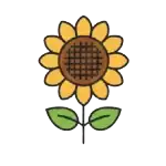 qualità certificata